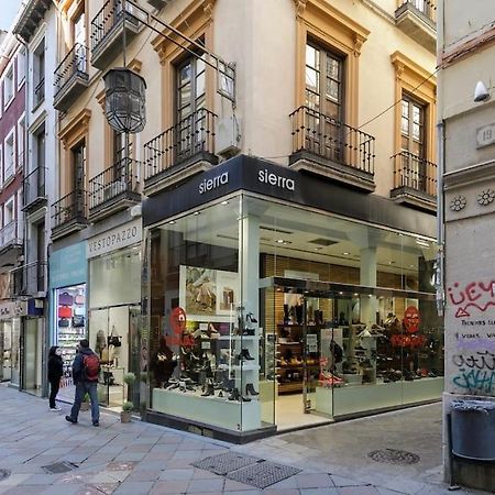 グラナダCentrico Apto Cerca De La Catedral Zacatinアパートメント エクステリア 写真